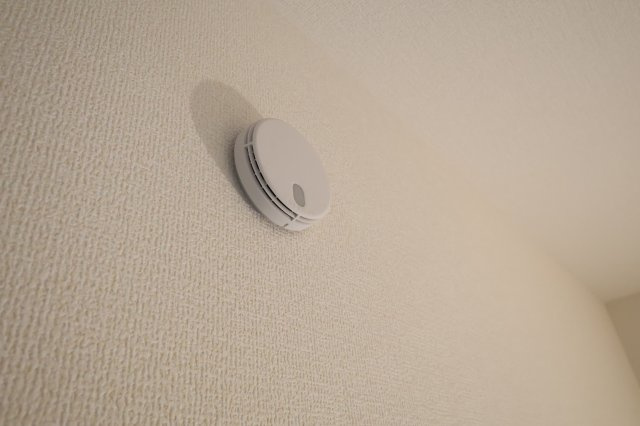 《仲介手数料無料》岩槻区西原台２丁目4(1号棟)新築一戸建てリーブルガーデンのその他|撮影日 2025年10月31日 14:00 雨