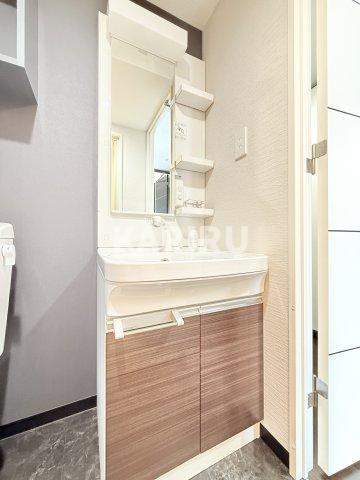 グランドロアール南巽の洗面所