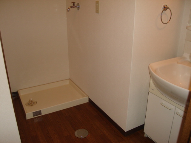 ロイヤルタムラさくら館の洗面所|洗面