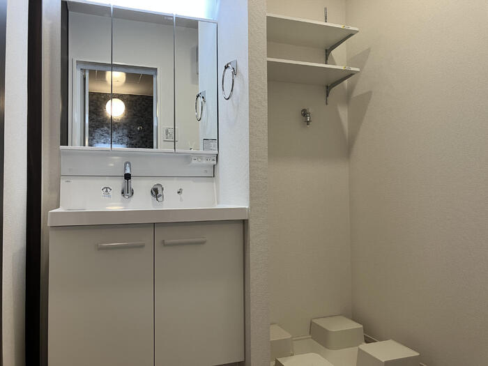 リュミエール太田の洗面所