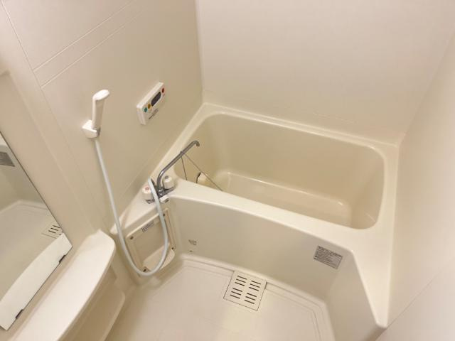 アリウスの浴室|バス