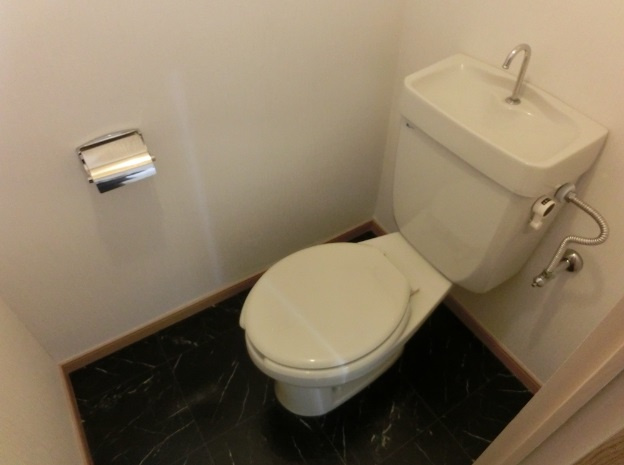 メゾンドール小島の洗面所