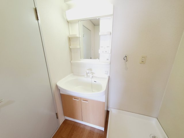 ロイヤルメゾン宝塚南の洗面所