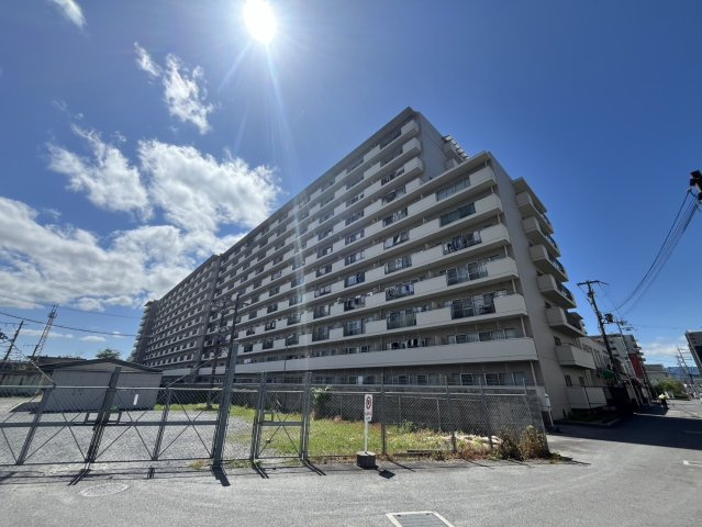 シャルマンコーポ草津　天然木フルリノベーション