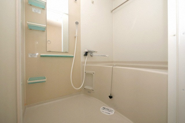 ザ・パーククロス阿波座の浴室