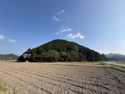 【外観】 | 丹波篠山市小枕　山林1