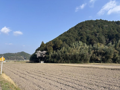 【外観】 | 丹波篠山市小枕　山林1