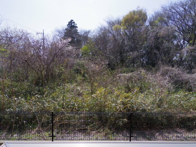 グリーンパレスＨＩＲＯＳＥ 壱番館の展望|窓からの風景