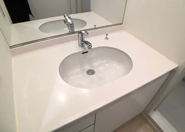 人形町デュープレックスRsの洗面所