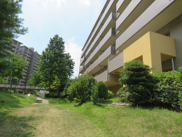 の-の画像