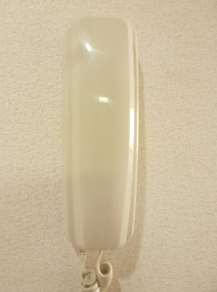 パレットピュアのセキュリティ