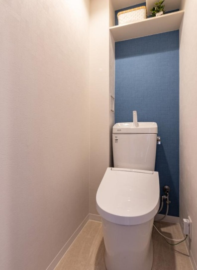 サングレール・フェニング　鳳西町　フルリノベーション物件のトイレ