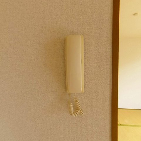 ハイカムール国分Ⅱのセキュリティ