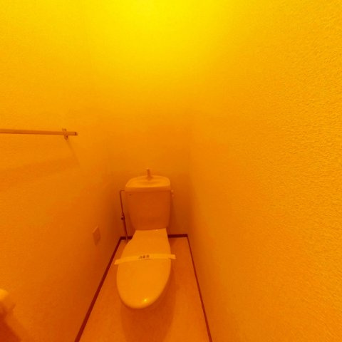 ハイカムール国分Ⅱのトイレ|トイレです