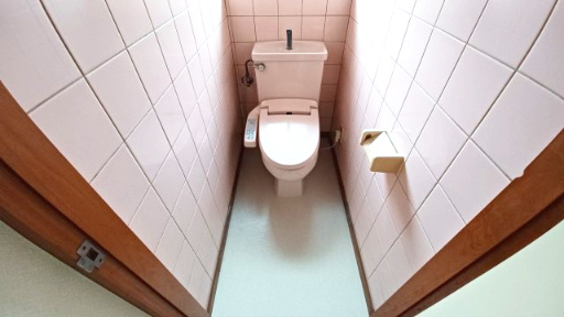 ブルーアイ羽尾のトイレ|201号室　トイレ