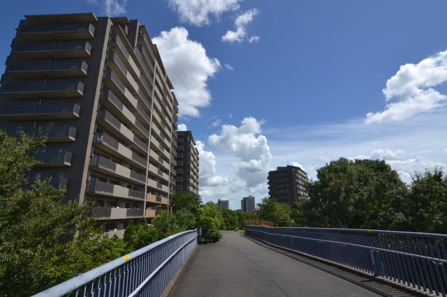 の-の画像