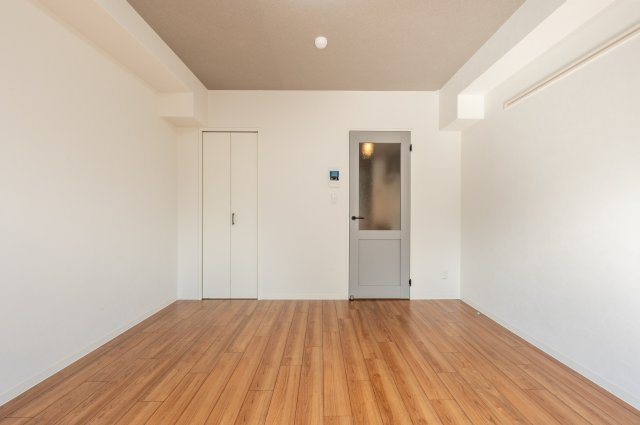 ブリリアコート龍谷大前の居間・リビング|ドアがグレーでとてもお洒落です☆クローゼットもあります。