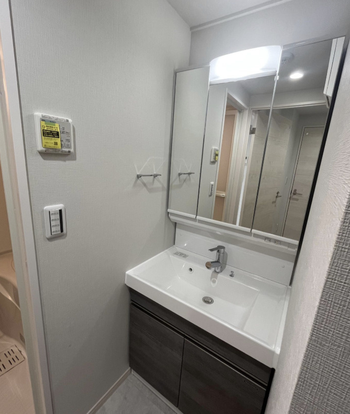 ドゥーエ曳舟の洗面所