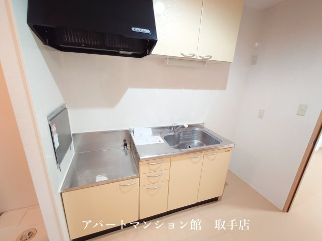 グリーンパレスHIROSEのキッチン