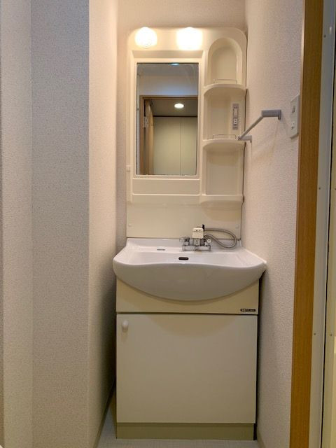 キャッスル城西の洗面所