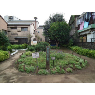 【周辺】 | ソレイユ清水 | 公園「清水町みどり公園まで260ｍ」公園