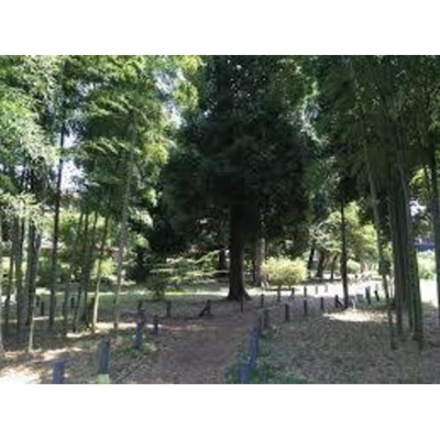 【周辺】 | 石神井台高野マンション | 公園「関町北四丁目緑地まで478ｍ」