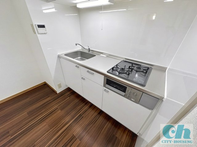 クリンライフハイツ 203号室のキッチン