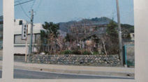 山崎町鹿沢の売土地の画像