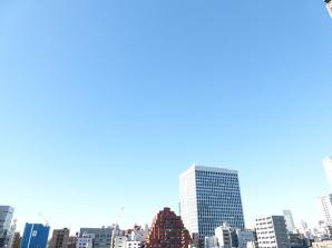 カスタリア芝公園の展望