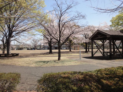 【展望】 | バルパレー熊谷