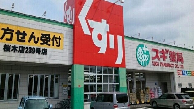 ハイツ美幸Ｂの周辺|スギ薬局まで220m