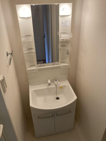 アソシアグロッツォ天神ザガーデンの洗面所