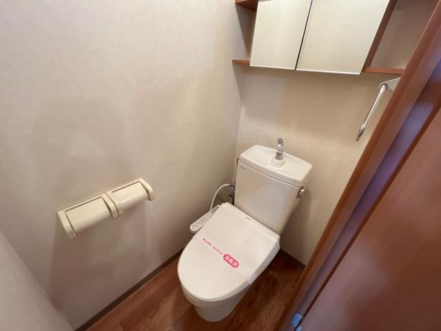 Ｇｒａｎｄｅ　Ｖｉｌｌａ（グランデ　ヴィラ）のトイレ|トイレ