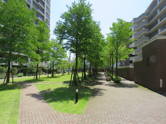 の-の画像