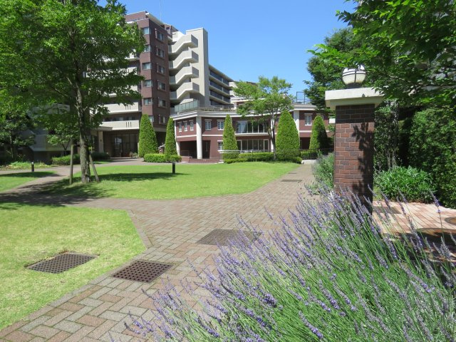 の-の画像
