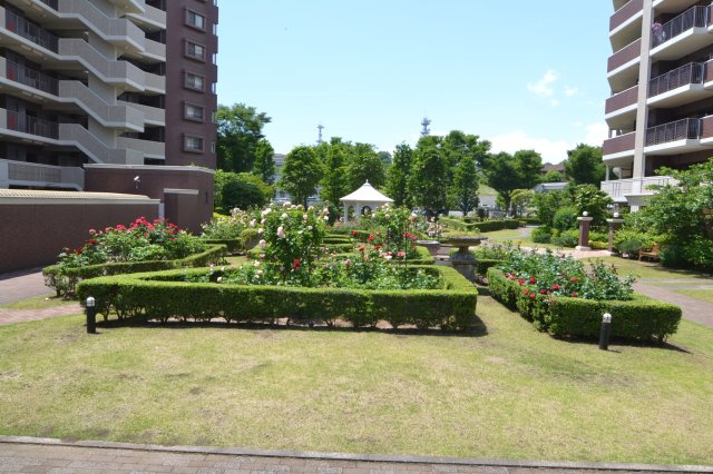 の-の画像
