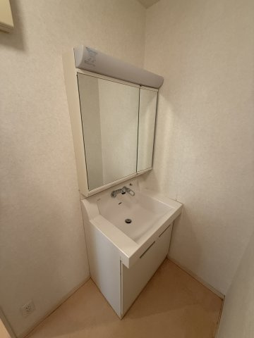 レセンテG・Tの洗面所