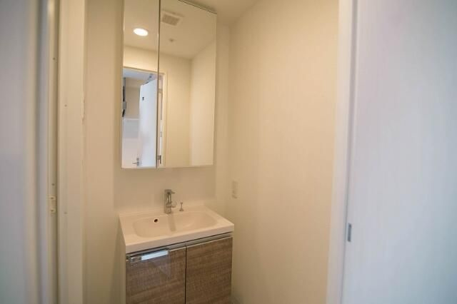 ラフィスタ錦糸町Ⅱの洗面所