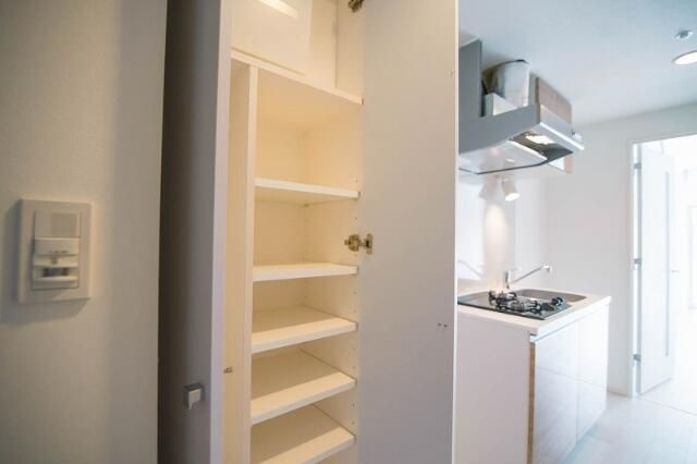 ラフィスタ錦糸町Ⅱの収納