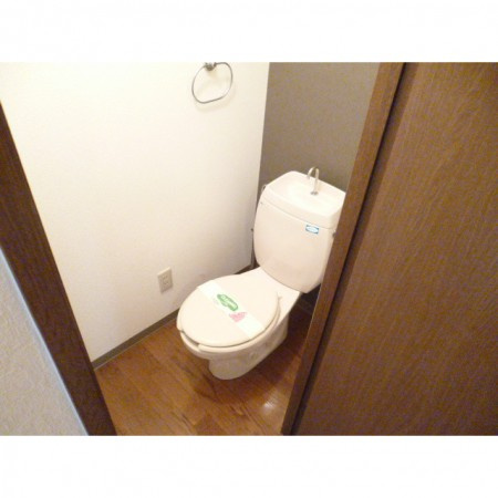 熊本市中央区中央街の賃貸マンションのトイレ