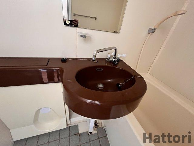 スカイフィールド豊中の洗面所