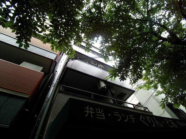 王子パークルームⅡの外観