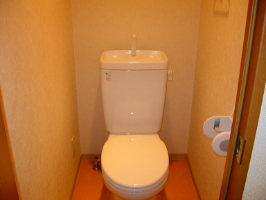 熊本市西区池田１丁目の賃貸マンションのトイレ