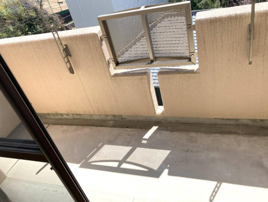 熊本市西区池田１丁目の賃貸マンションのバルコニー