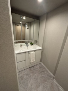 【独立洗面台】ディオ・フェルティ丹波橋左芳館 