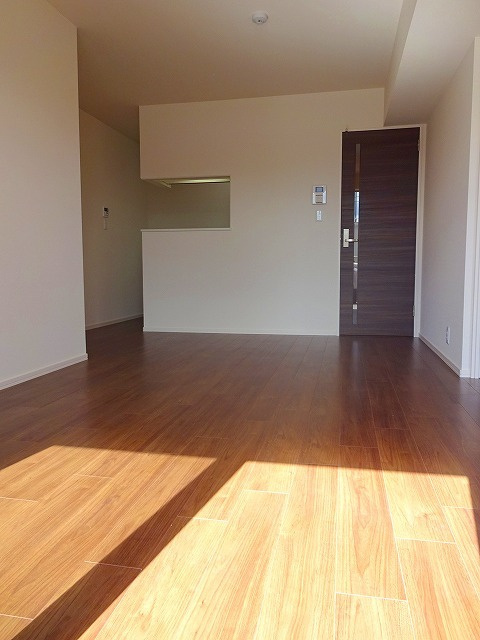 フェリーチェ・２のその他