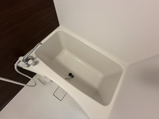 ドエルパークサイドの浴室