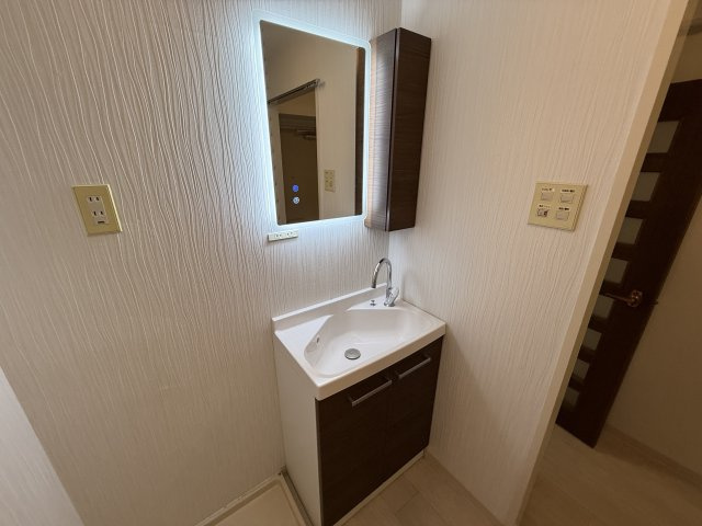 ドエルパークサイドの独立洗面台