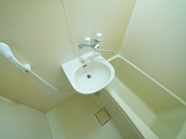 ディアーレコトブキA棟の設備|洗面台があります