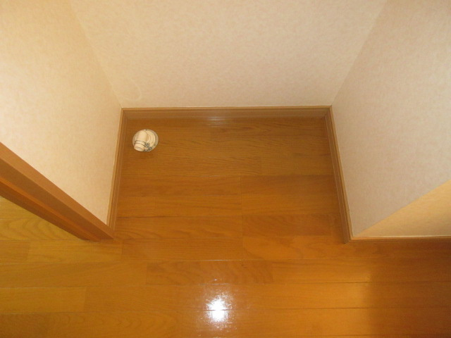 ivyｅEのその他
